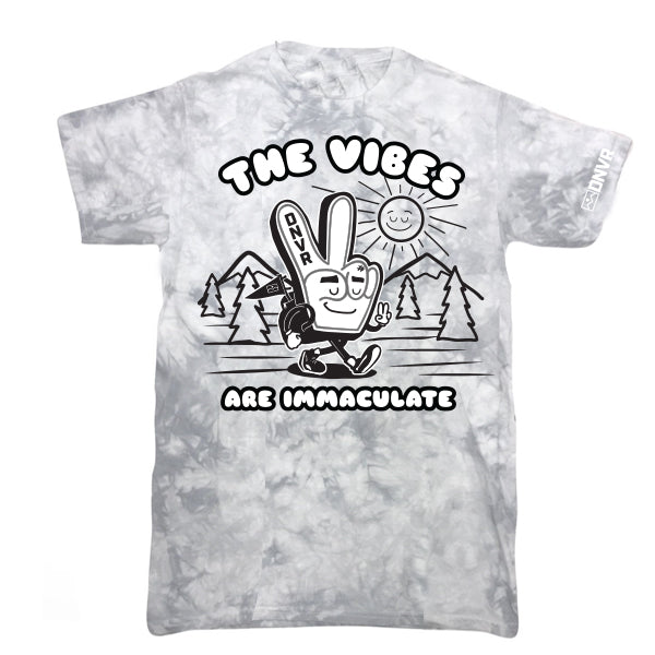 DNVR The Vibes Are Immaculate Tie Dye Tee