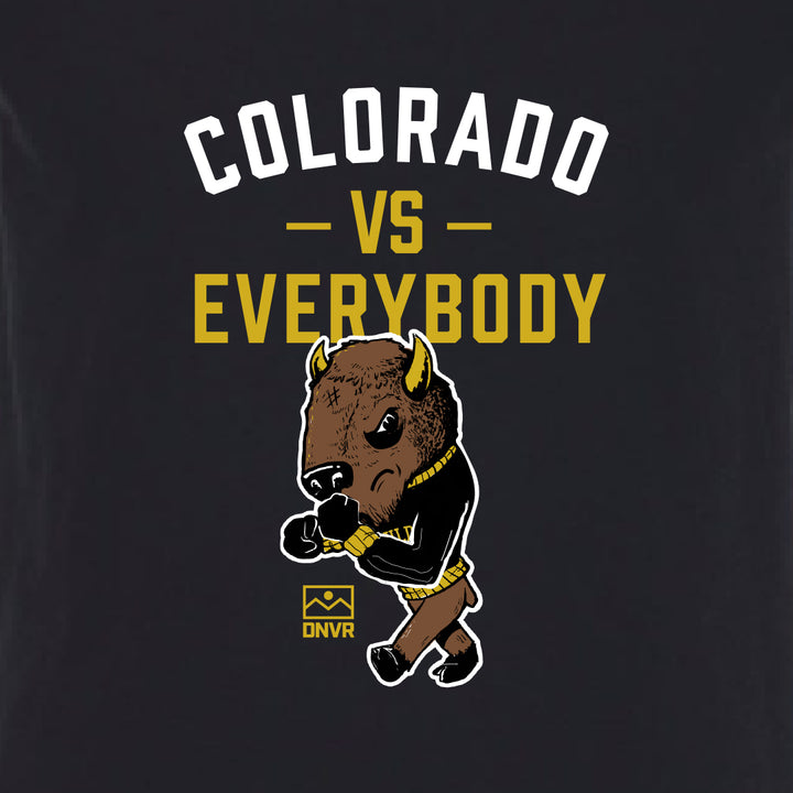 DNVR Colorado vs Everybody Tee