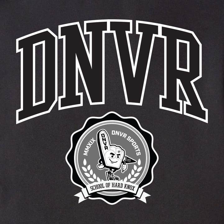 DNVR Collegiate Hoodie