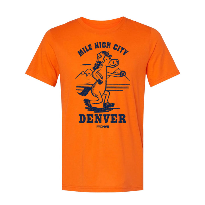 DNVR Vintage Football Tee