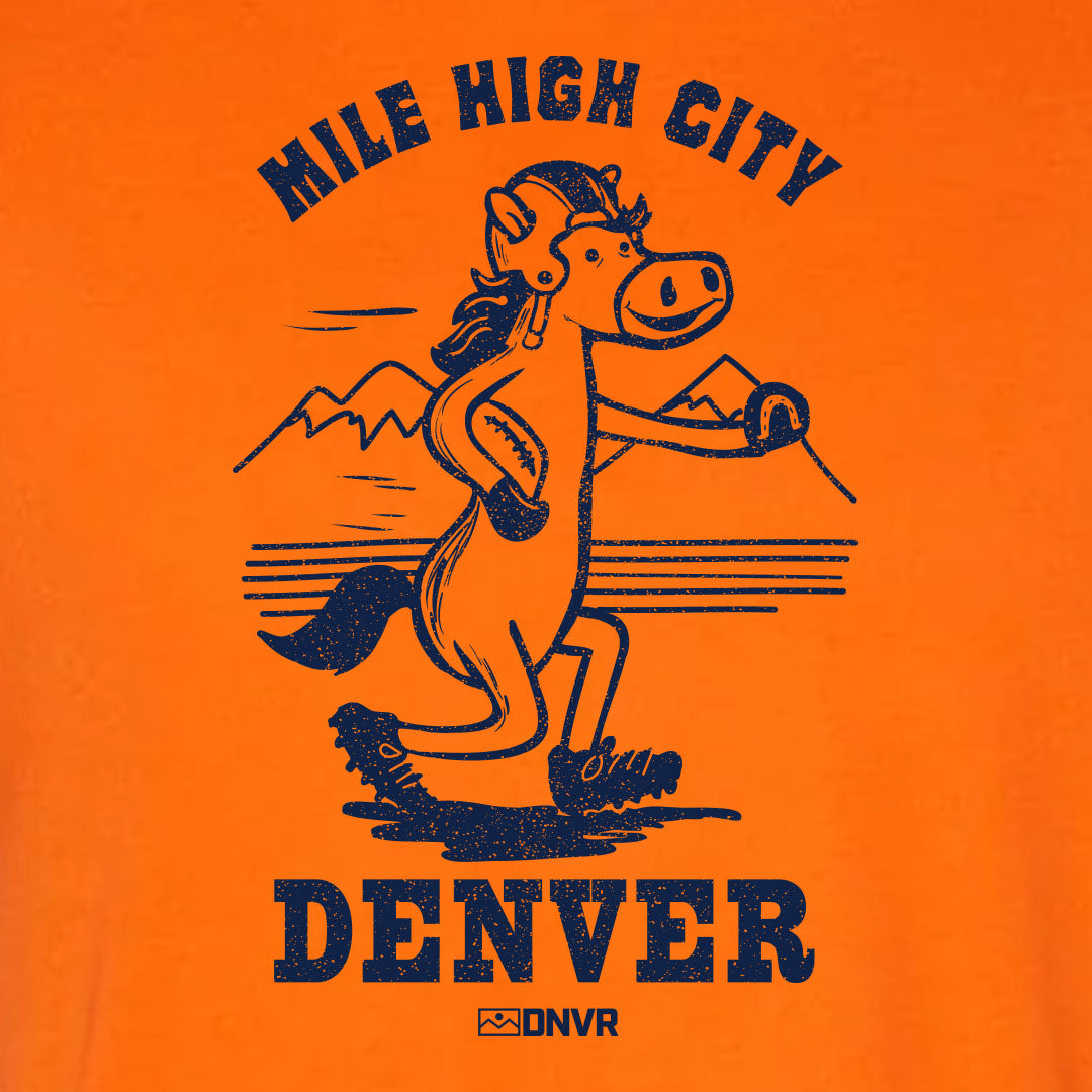 DNVR Vintage Football Tee
